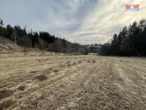 Prodej louky, Petrovice II - Losiny, 10890 m2