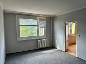 Pronájem bytu 1+1, Děčín, Na Pěšině, 34 m2