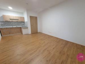 Pronájem bytu 1+kk, Olomouc, Uhelná, 30 m2