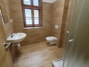 Pronájem bytu 1+kk, Olomouc, Uhelná, 30 m2