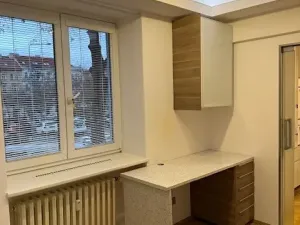 Pronájem bytu 3+kk, Praha - Žižkov, Žerotínova, 60 m2