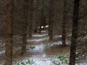 Pronájem bytu 2+kk, Křečovice, Žofie Podlipské, 70 m2