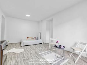 Pronájem bytu 2+kk, Ostrava, Alšovo náměstí, 51 m2