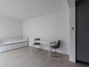 Pronájem bytu 1+kk, Praha - Žižkov, Hartigova, 37 m2