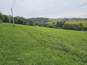 Prodej louky, Hynčina, 1787 m2