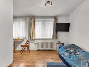 Prodej bytu 1+kk, Praha - Záběhlice, Svojšovická, 28 m2