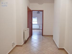 Pronájem bytu 1+kk, Teplice, U nádraží, 45 m2