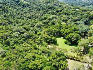 Prodej pozemku, Punta Blanca, José Santos Guardiola, Honduras, 1959 m2