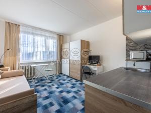 Pronájem bytu 1+kk, Karlovy Vary - Rybáře, Buchenwaldská, 20 m2