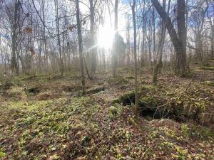 Prodej pozemku, Staré Město pod Landštejnem, 1074 m2