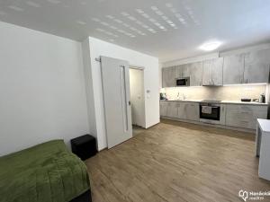 Pronájem bytu 1+kk, Olomouc, Dolní novosadská, 36 m2