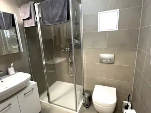 Pronájem bytu 1+kk, Olomouc, Dolní novosadská, 36 m2