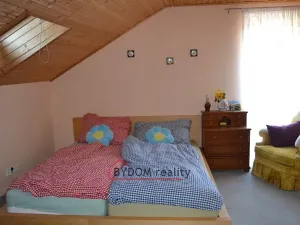 Prodej rodinného domu, Bělá nad Radbuzou, 200 m2