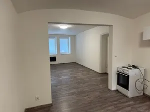 Pronájem bytu 1+kk, Teplice, Souběžná, 50 m2