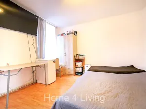 Prodej bytu 1+kk, Brno, Plotní, 28 m2