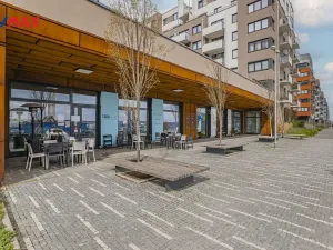 Prodej bytu 2+kk, Praha - Dolní Měcholupy, Kardausova, 55 m2