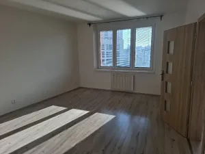 Pronájem bytu 3+kk, Praha - Žižkov, Basilejské náměstí, 93 m2