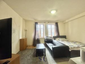 Pronájem bytu 1+kk, Liberec, Klostermannova, 24 m2