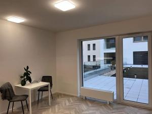 Pronájem bytu 1+kk, Brno, Cejl, 30 m2