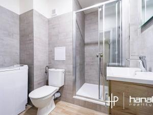 Pronájem bytu 2+1, Olomouc, Dlouhá, 47 m2