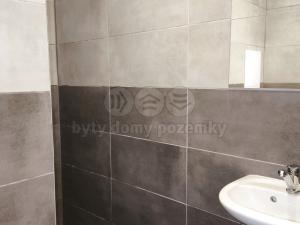 Pronájem bytu 1+kk, Havířov - Město, Dělnická, 22 m2