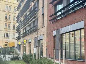 Pronájem bytu 2+kk, Praha - Žižkov, U Viktorie, 43 m2