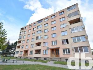 Prodej bytu 1+kk, Nové Sedlo, Sadová, 22 m2