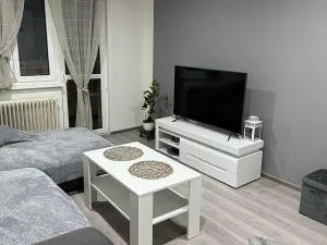 Pronájem bytu 2+1, Ostrava, Závodní, 54 m2