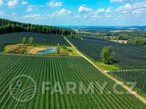 Prodej sadu/vinice, Plzeň, 1000000 m2