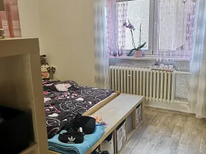 Prodej rodinného domu, Radomyšl, 300 m2