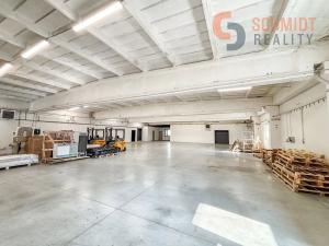 Pronájem kanceláře, Hodonín, U Tirexu, 500 m2