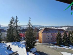 Prodej bytu 2+1, Tachov, Hornická, 48 m2