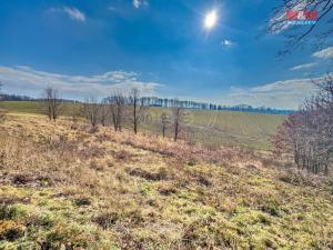 Prodej pozemku pro bydlení, Bílovec, 1. máje, 1002 m2