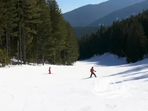 Prodej bytu 1+kk, Bansko, Bulharsko, 49 m2