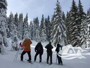 Prodej bytu 1+kk, Bansko, Bulharsko, 49 m2