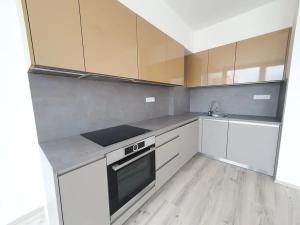 Pronájem bytu 3+kk, Praha - Nové Město, Na výtoni, 100 m2