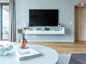 Prodej bytu 1+kk, Brandýs nad Labem-Stará Boleslav, Dřevčická, 42 m2