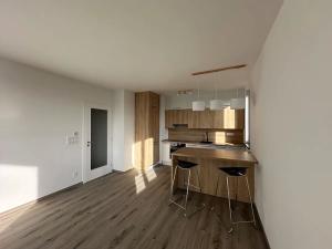 Pronájem bytu 2+kk, Praha - Žižkov, Olgy Havlové, 52 m2