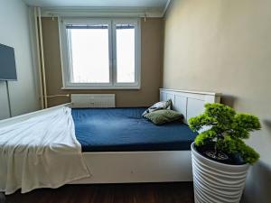 Prodej bytu 3+kk, Mladá Boleslav, Jana Palacha, 83 m2