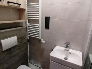 Pronájem bytu 3+kk, Nový Jičín, Revoluční, 60 m2