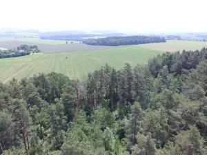 Dražba pozemku, Šebířov, 3299 m2