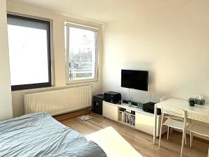 Pronájem bytu 1+kk, Praha - Vinohrady, Perucká, 26 m2