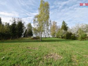 Prodej pozemku pro bydlení, Brzice - Proruby, 2428 m2