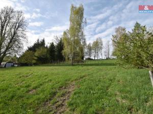 Prodej pozemku pro bydlení, Brzice - Proruby, 2428 m2