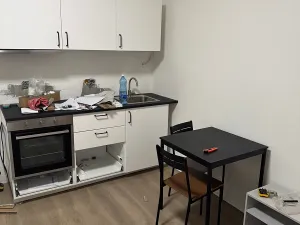 Pronájem bytu 1+kk, Praha - Vinohrady, Slezská, 20 m2