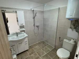 Pronájem bytu 1+kk, Brno, Kostelní zmola, 30 m2