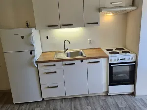 Pronájem bytu 1+kk, Dolní Břežany, Na Panský, 39 m2