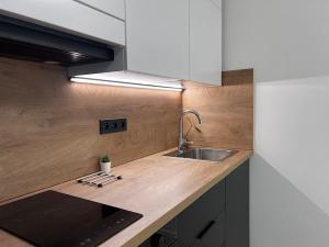 Pronájem bytu 1+kk, Brno, Cejl, 30 m2