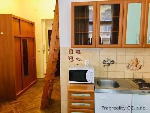 Pronájem bytu 1+kk, Praha - Vinohrady, Varšavská, 25 m2