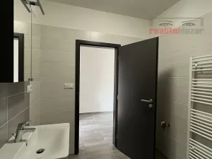 Pronájem bytu 1+kk, Brno, Hlinecká, 36 m2